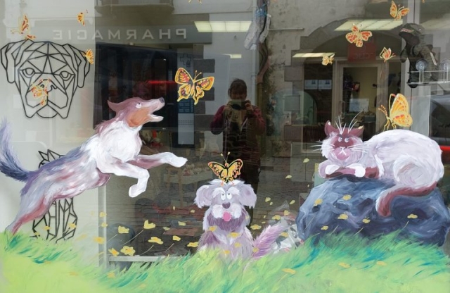 décoration vitrine printemps pontrieux trégor goëlo