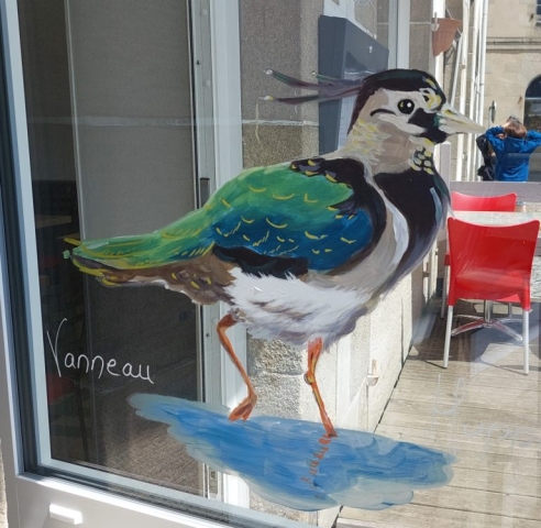 vitrine printemps - été Pontrieux Trégor Goëlo